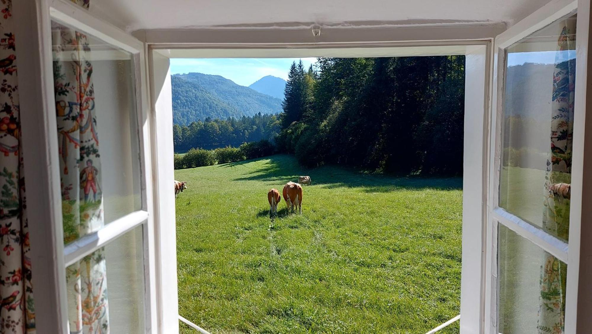 Villa Jaegerhaus Hintersee Exterior foto