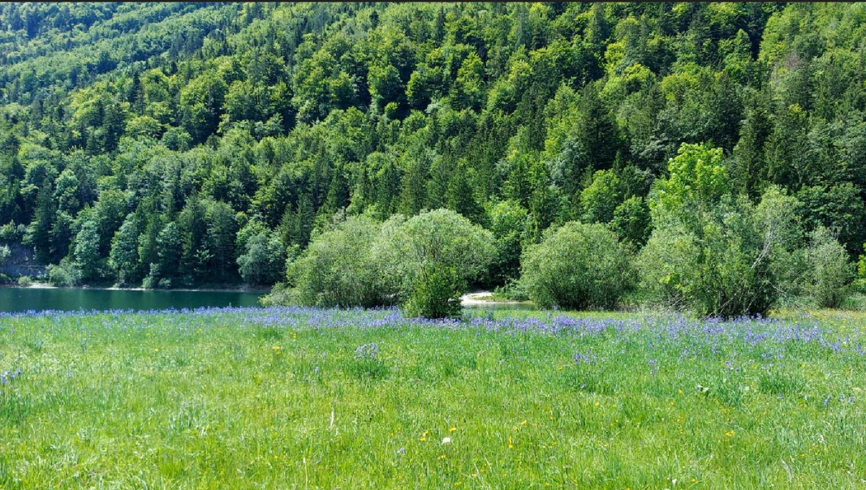Villa Jaegerhaus Hintersee Exterior foto